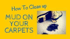 Clean Up Mud on Carpet