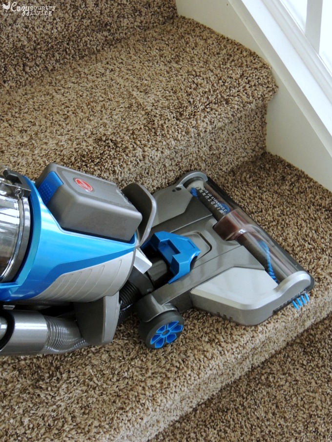 how-to-get-mud-out-of-carpets